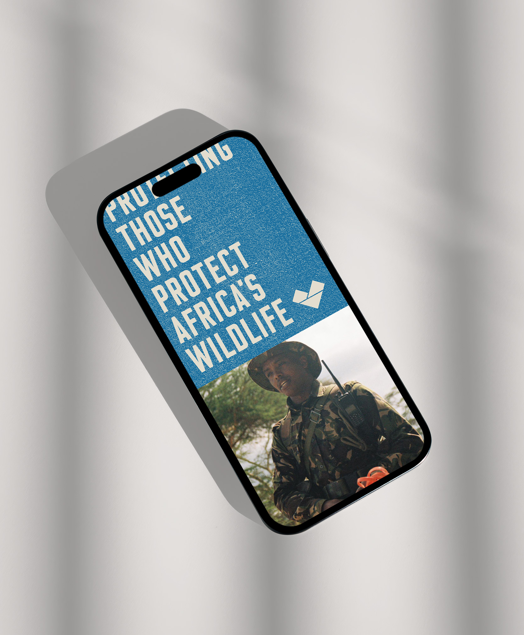 11-mid-rangerlifeafrica-identity-logo-design-alexaustin